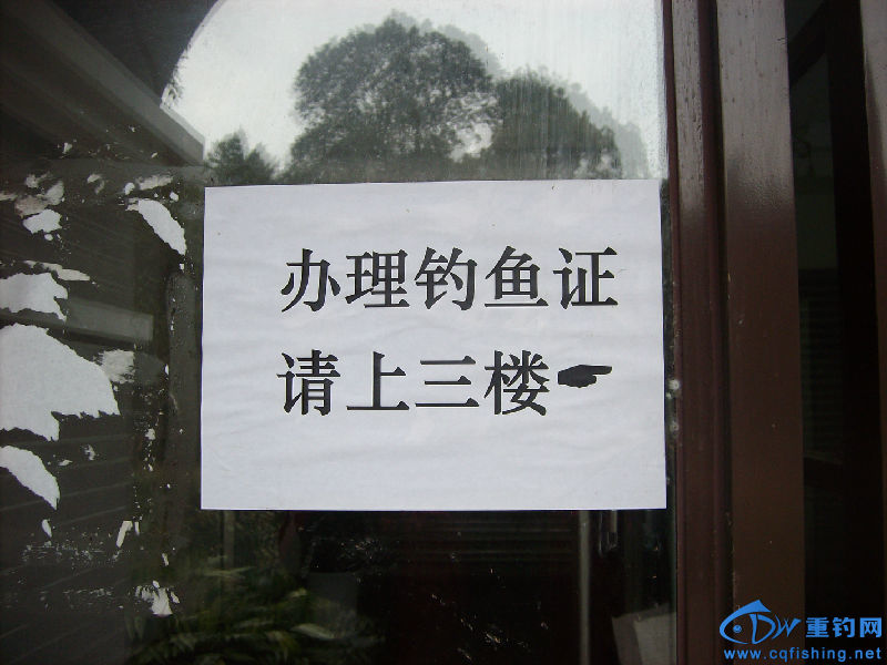 IMG04508.JPG
