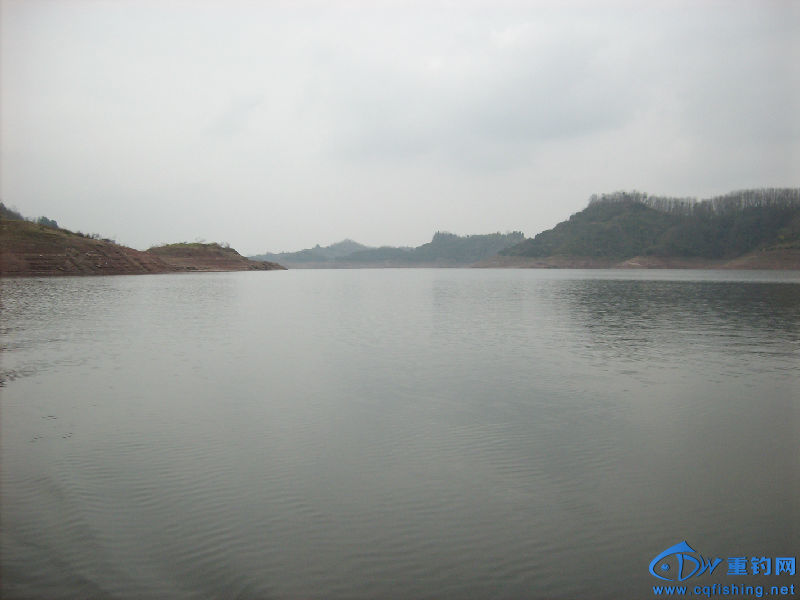 IMG04517.JPG