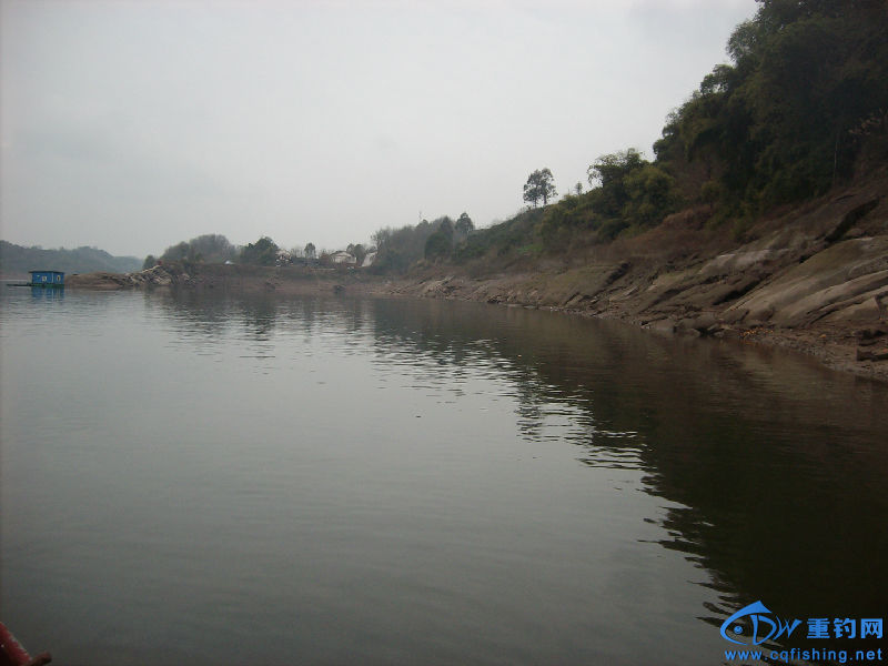 IMG04513.JPG