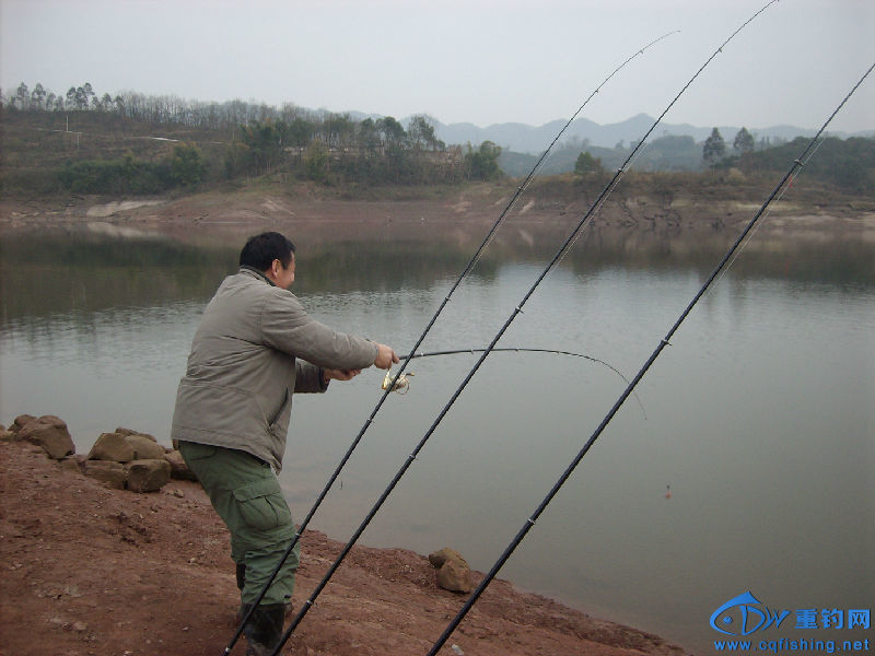 IMG04532.JPG