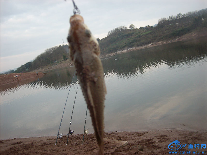 IMG04518.JPG