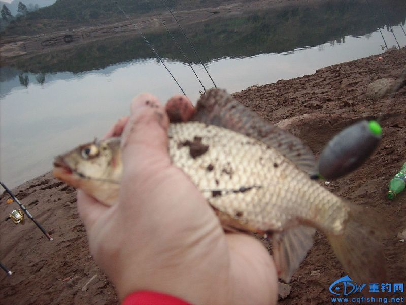 IMG04521.JPG