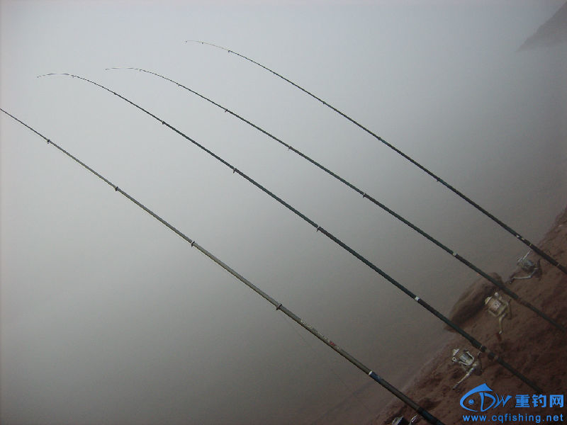 IMG04525.JPG