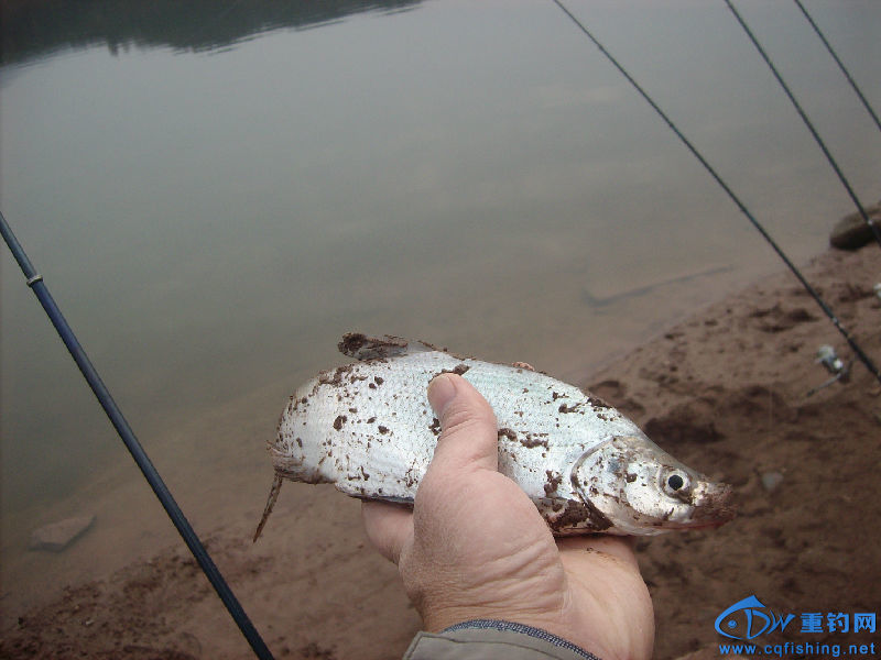 IMG04529.JPG
