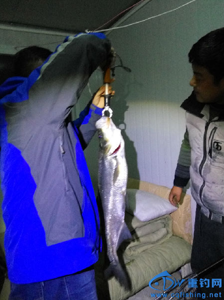 鏂板缓鏂囦欢澶笽MG_20160126_002611.jpg