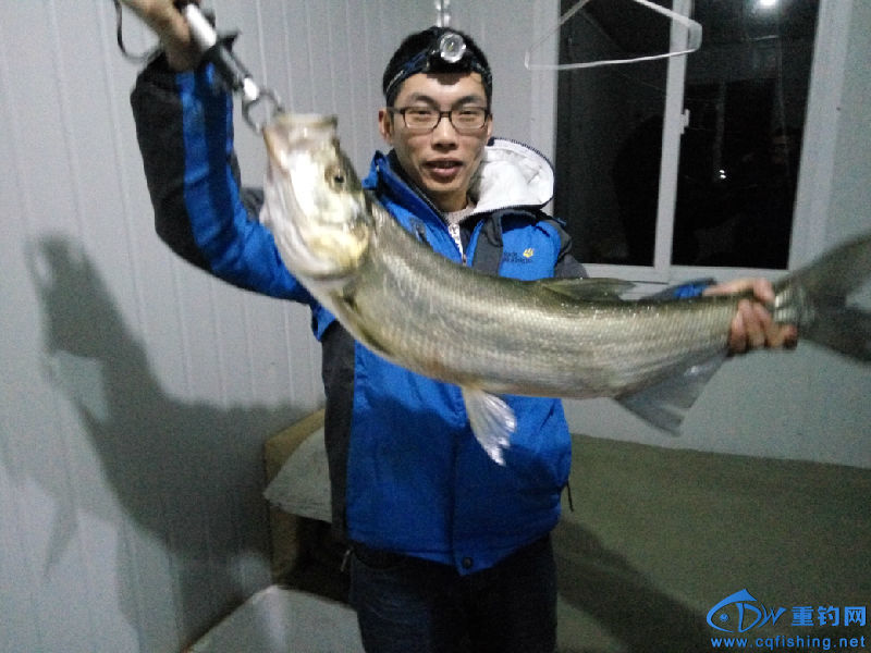 鏂板缓鏂囦欢澶笽MG_20160126_002630.jpg