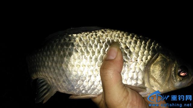 IMG_20151018_215522.jpg