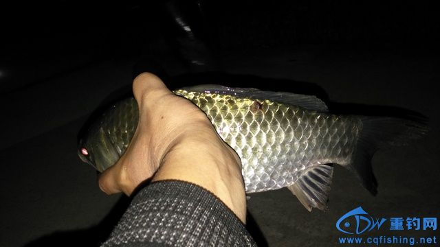 IMG_20151019_002337.jpg