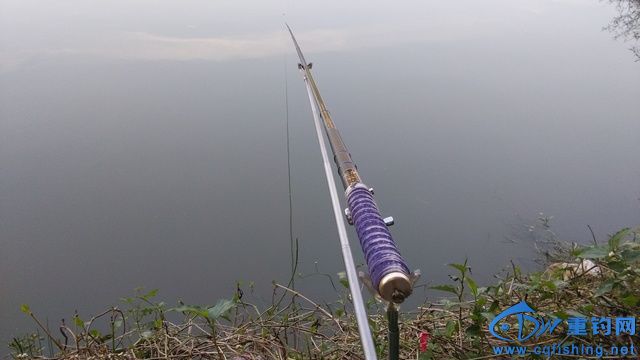 IMG_20151014_142758.jpg