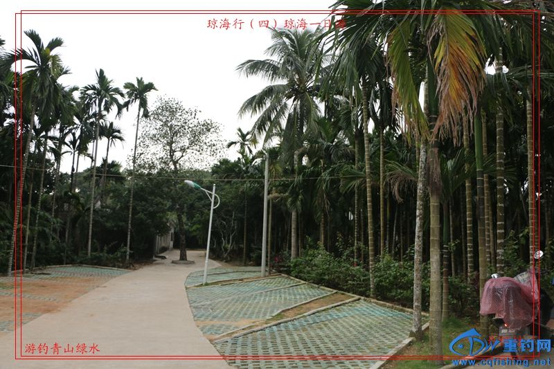 208.jpg