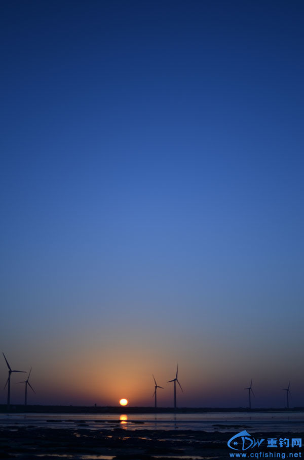 DSC_6617.JPG