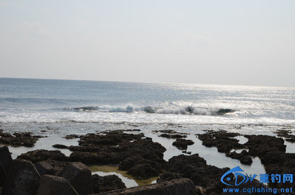 DSC_6546.JPG