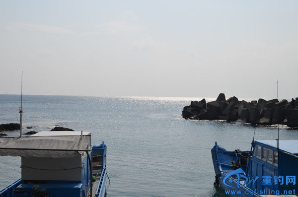 DSC_6541.JPG