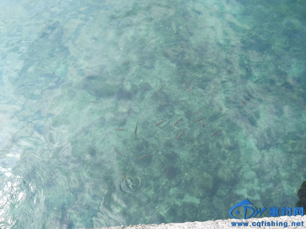 IMG_20160206_104154.jpg