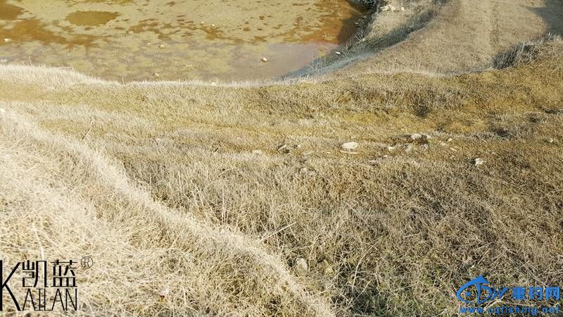 20160226_162926.jpg