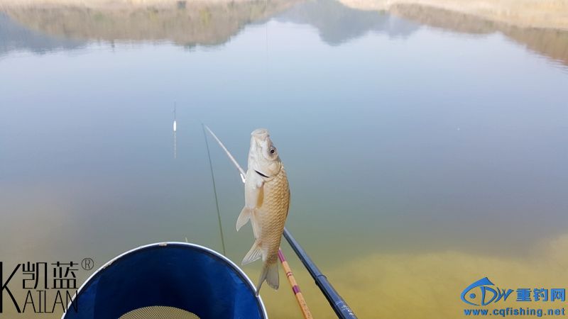 20160228_125037.jpg