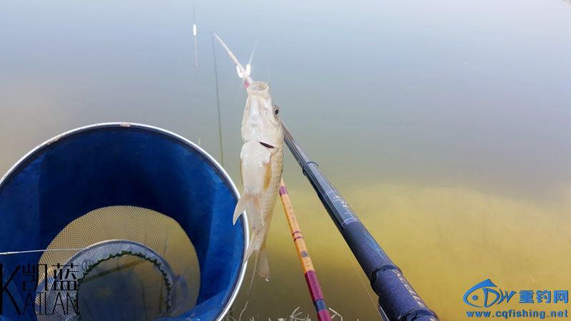 20160228_125042.jpg