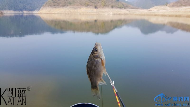 20160228_125049.jpg