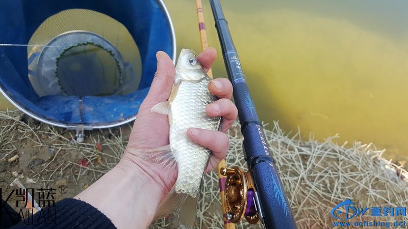 20160228_125104.jpg