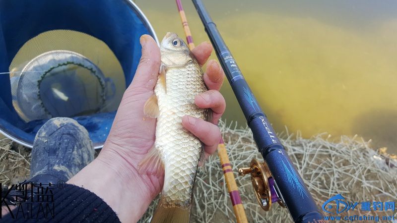 20160228_125927.jpg