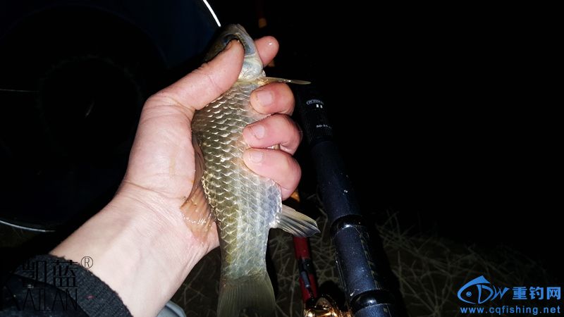 20160228_204907.jpg