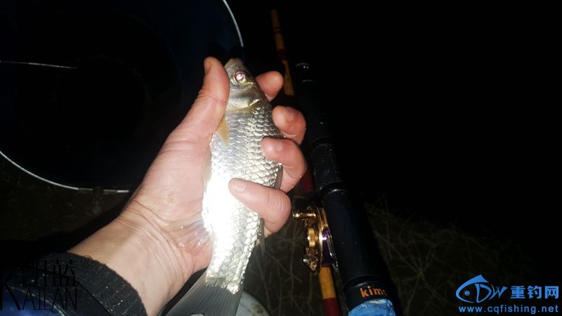 20160228_220526.jpg