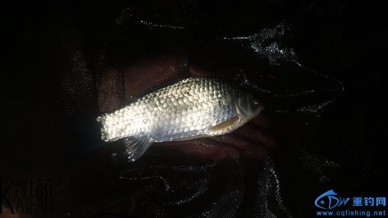 20160228_221003.jpg