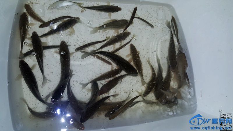 20160229_000559.jpg