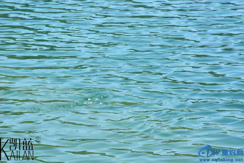 DSC_1759.jpg