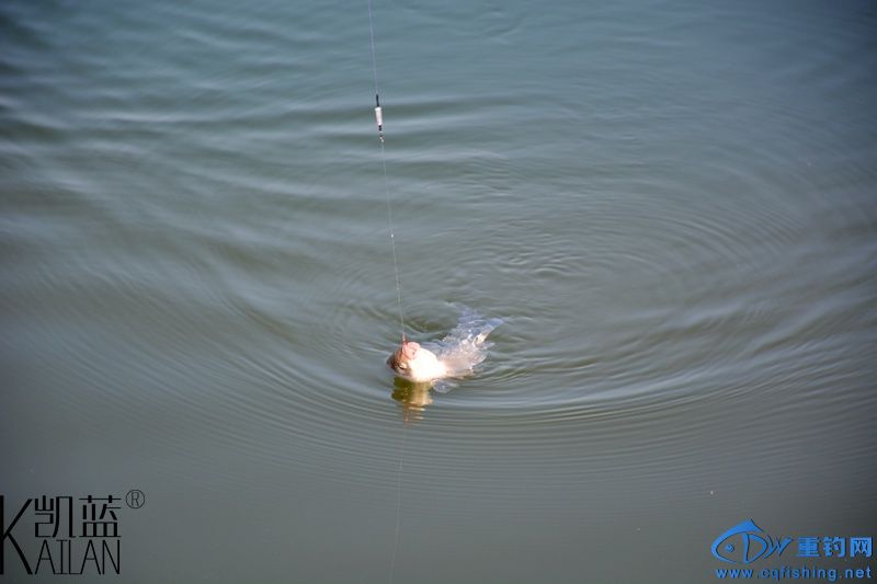 DSC_1828.jpg