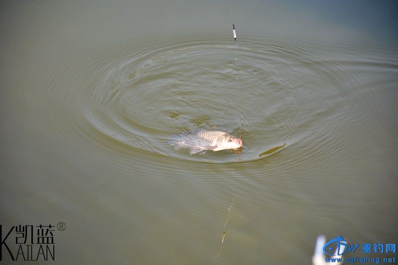 DSC_1830.jpg