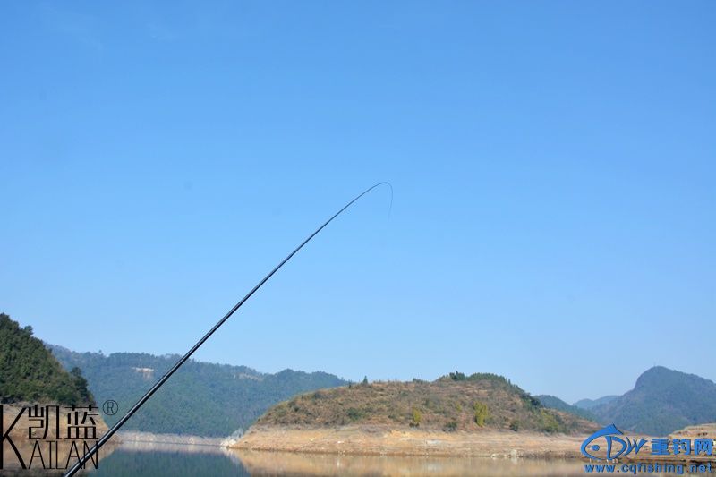 DSC_1842.jpg