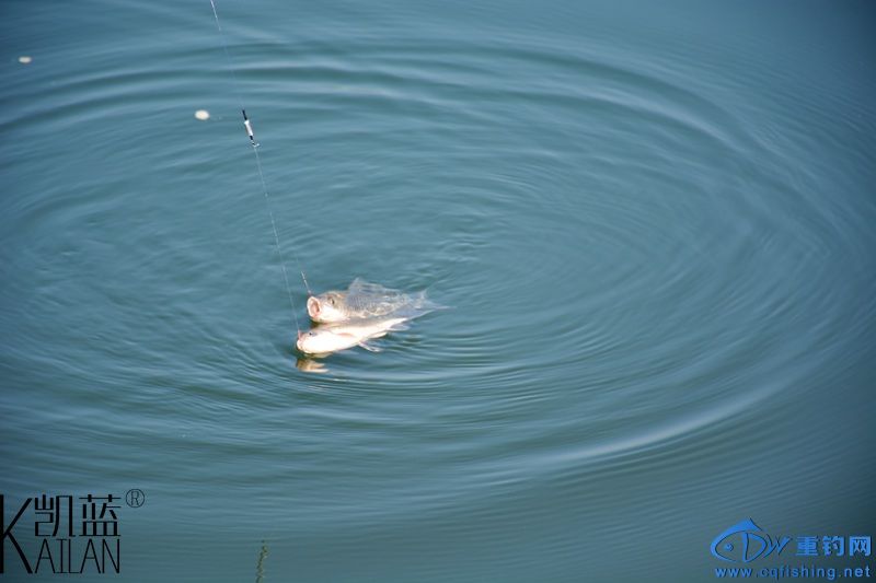 DSC_1847.jpg