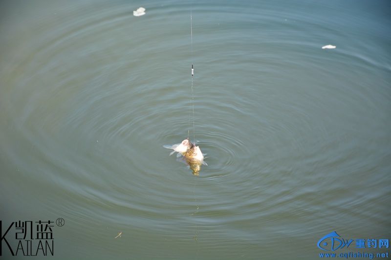 DSC_1848.jpg