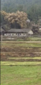 QQͼƬ20160308164854.png