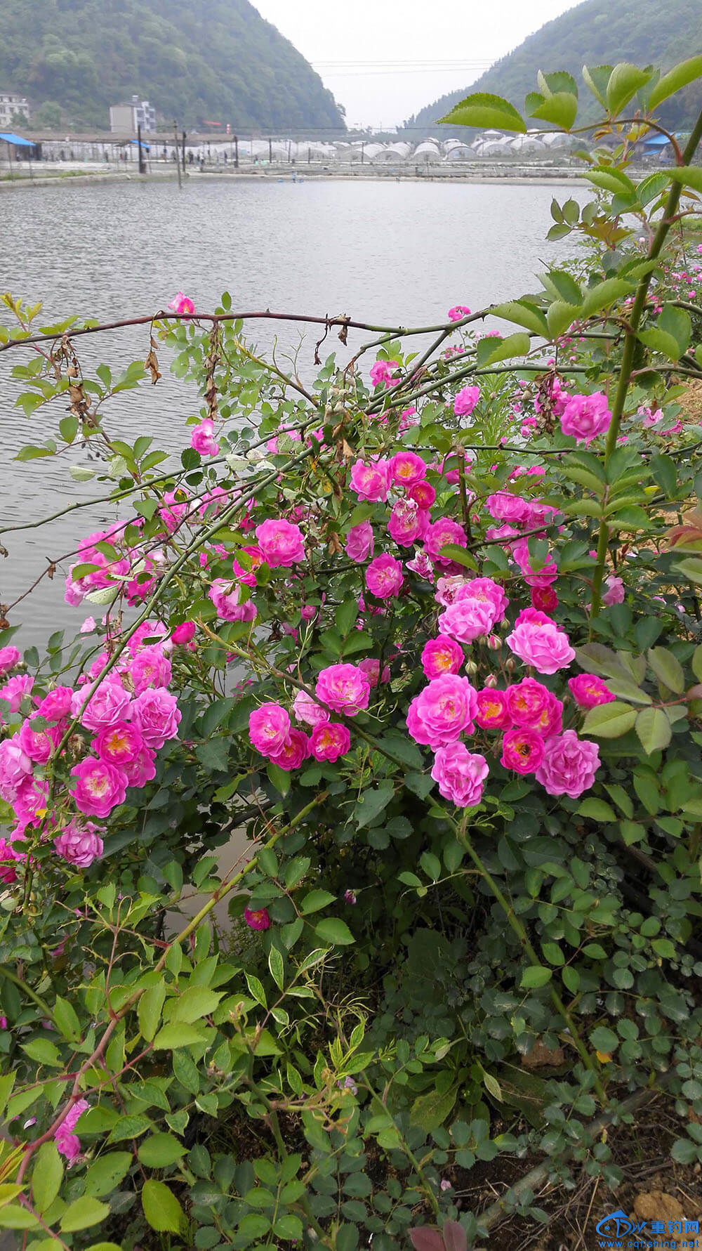 IMG_20150418_112237.jpg