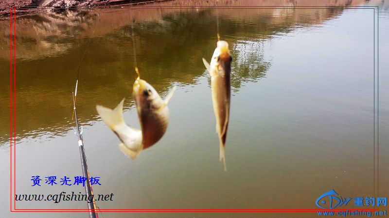 20160229_122337.jpg