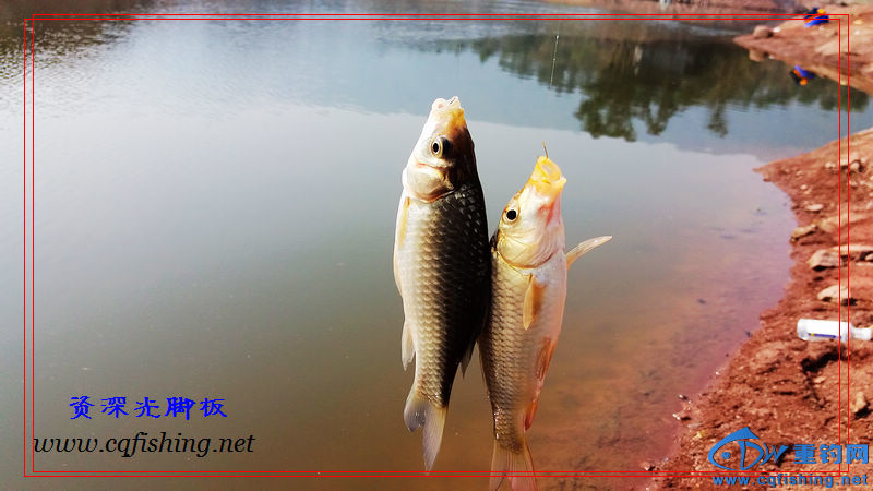 20160229_142227.jpg