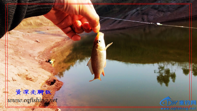 20160229_165150.jpg