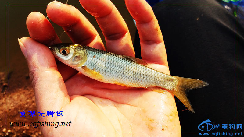 20160229_171538.jpg