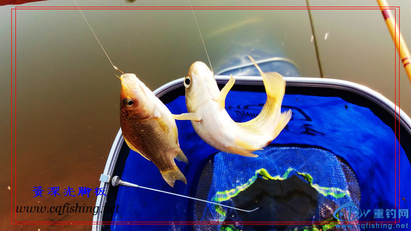 20160229_173248.jpg