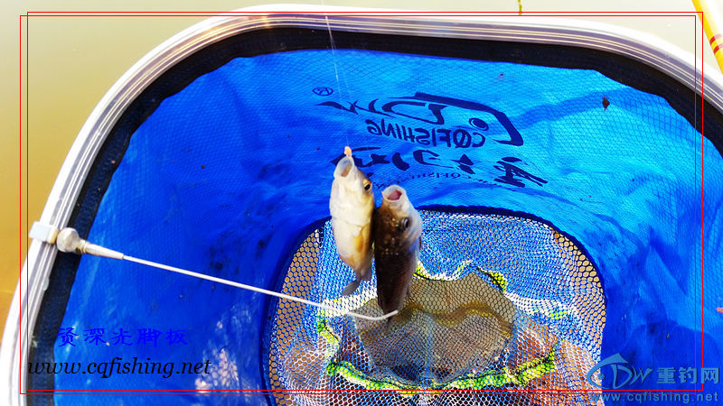 20160229_172029.jpg
