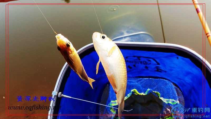 20160229_173250.jpg