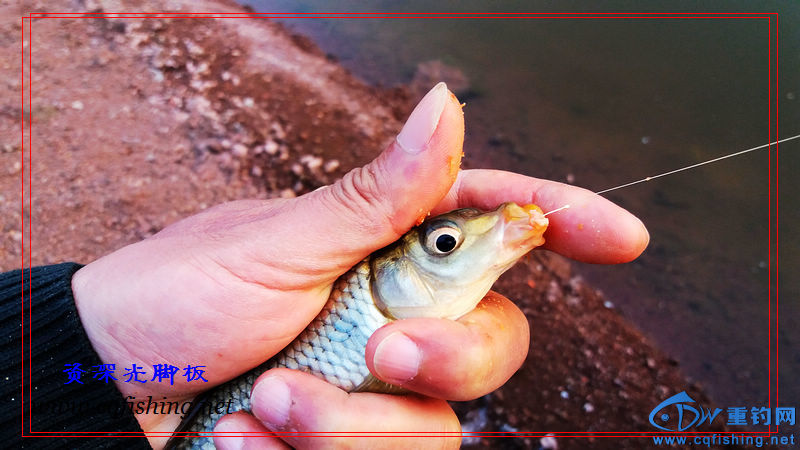 20160229_182028.jpg