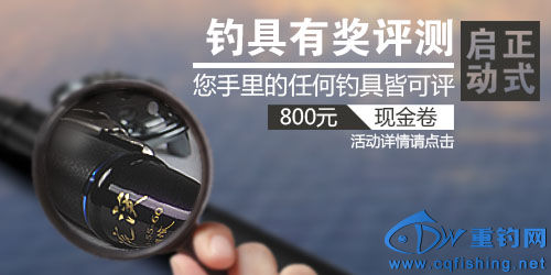 pingche_APP_500_250.jpg
