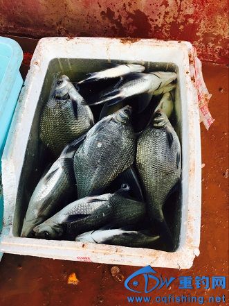 QQͼƬ20160313074359.jpg