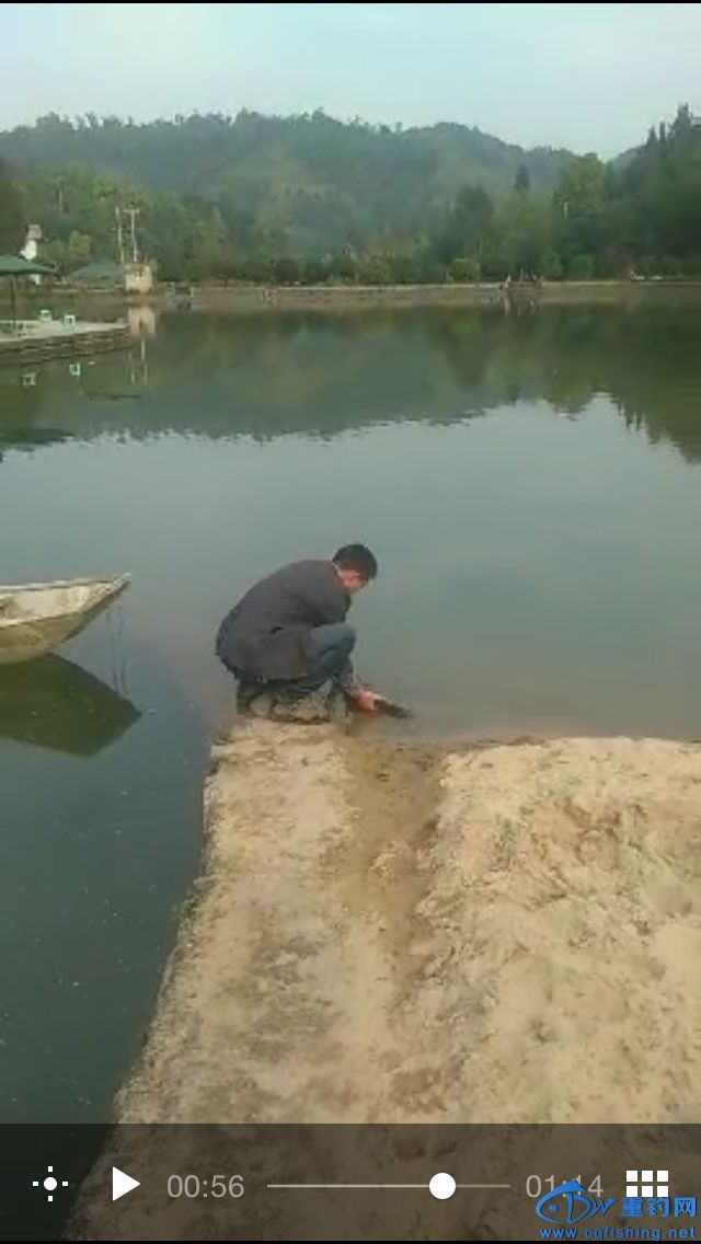 QQͼƬ20160313063408.jpg