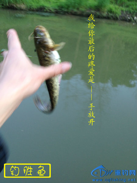 13 (10).jpg