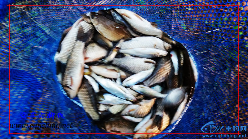20160325_190225.jpg