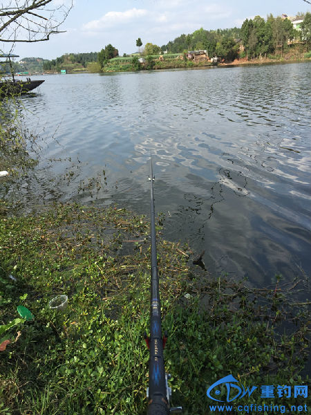 IMG_2766.JPG